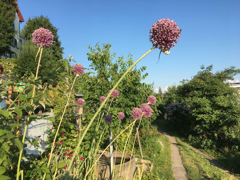 garten 2018