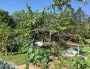 garten 2018