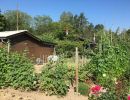 garten 2018