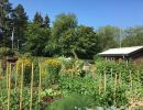 garten 2018