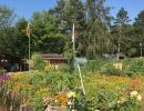 garten 2018