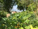 garten 2018