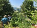garten 2018