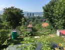 garten 2018