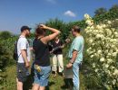 garten 2018