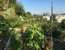 garten 2018