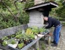 garten zmorge 2022